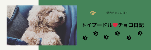 ペットたまに美容ブログ